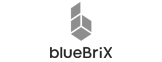 bluebrix logo